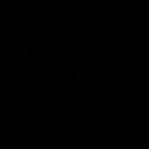 Meet your Posher, Abigail